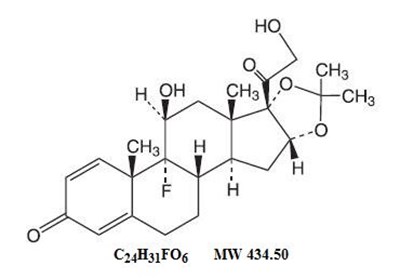 Triamcinolone Acetonide Dental Paste-1 - Triamcinolone Acetonide Dental Paste 1